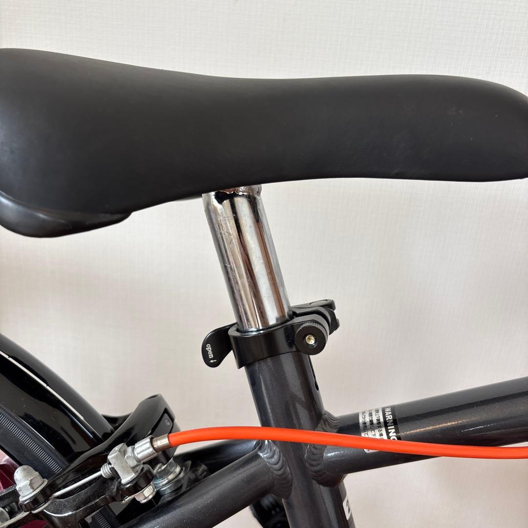 【直接引き渡し】ドライド R 226-N 22インチ 6段変速 子供用 自転車