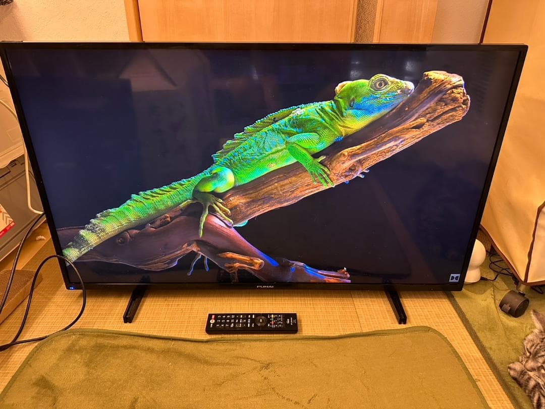 funai フナイ　43型 テレビ FL-43U3130　20年製　4K対応！