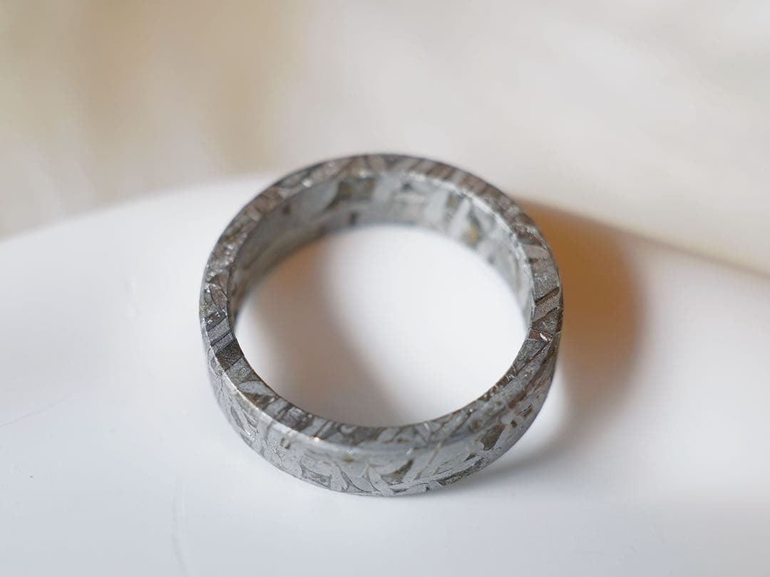 【宇宙の指輪】アルタイ隕石リング 原色　19.0mm ウィドマンシュテッテン模様