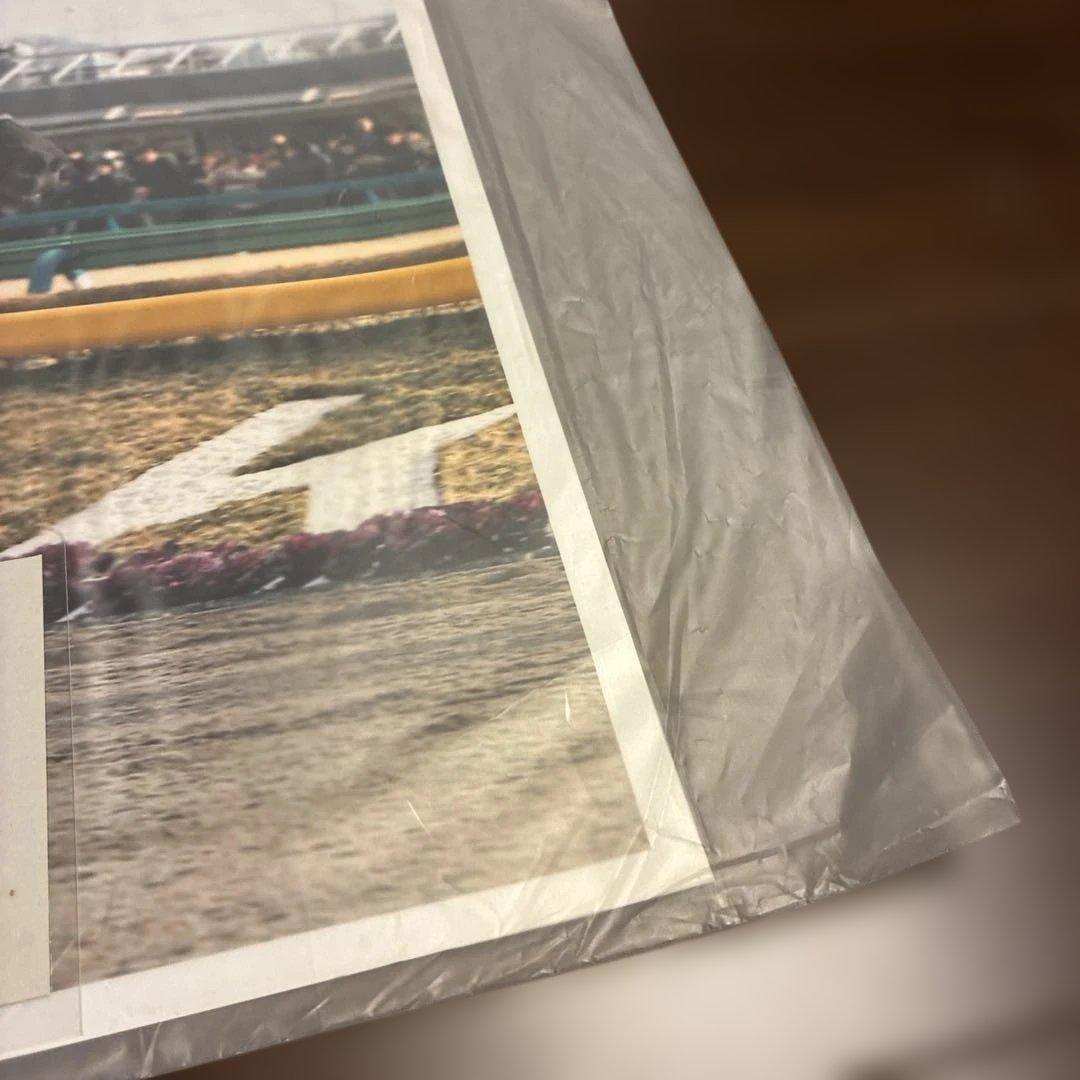 第29回フェブラリーステークス 記念印刷物　テスタマッタ