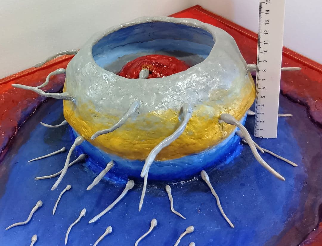 「生命の誕生」（未来絵画）