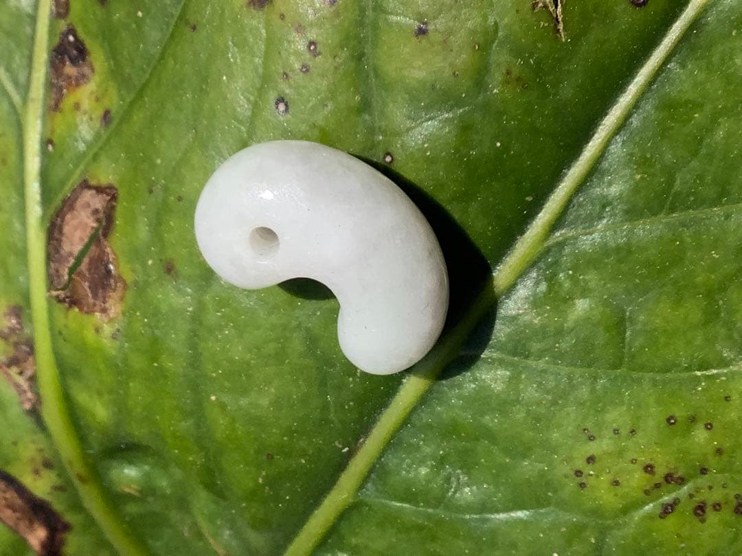 ✳自信の安価卸し　糸魚川翡翠勾玉　本物アイスジェイド鑑別書付　選別出品‼️