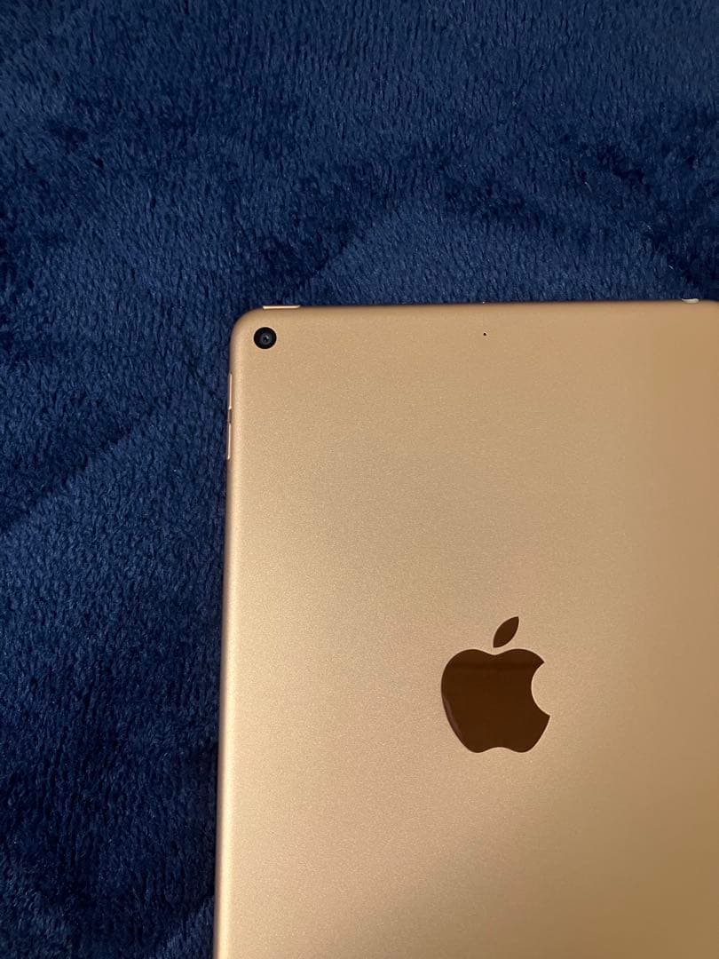 Apple iPad mini (第5世代) 64GB