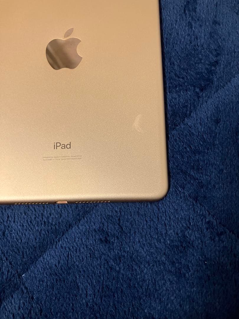 Apple iPad mini (第5世代) 64GB