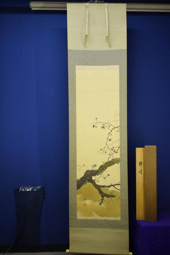 真作/菊池芳文/紅梅に雀図/紅梅に小禽図/桐共箱二重箱付/布袋屋掛軸HI-250