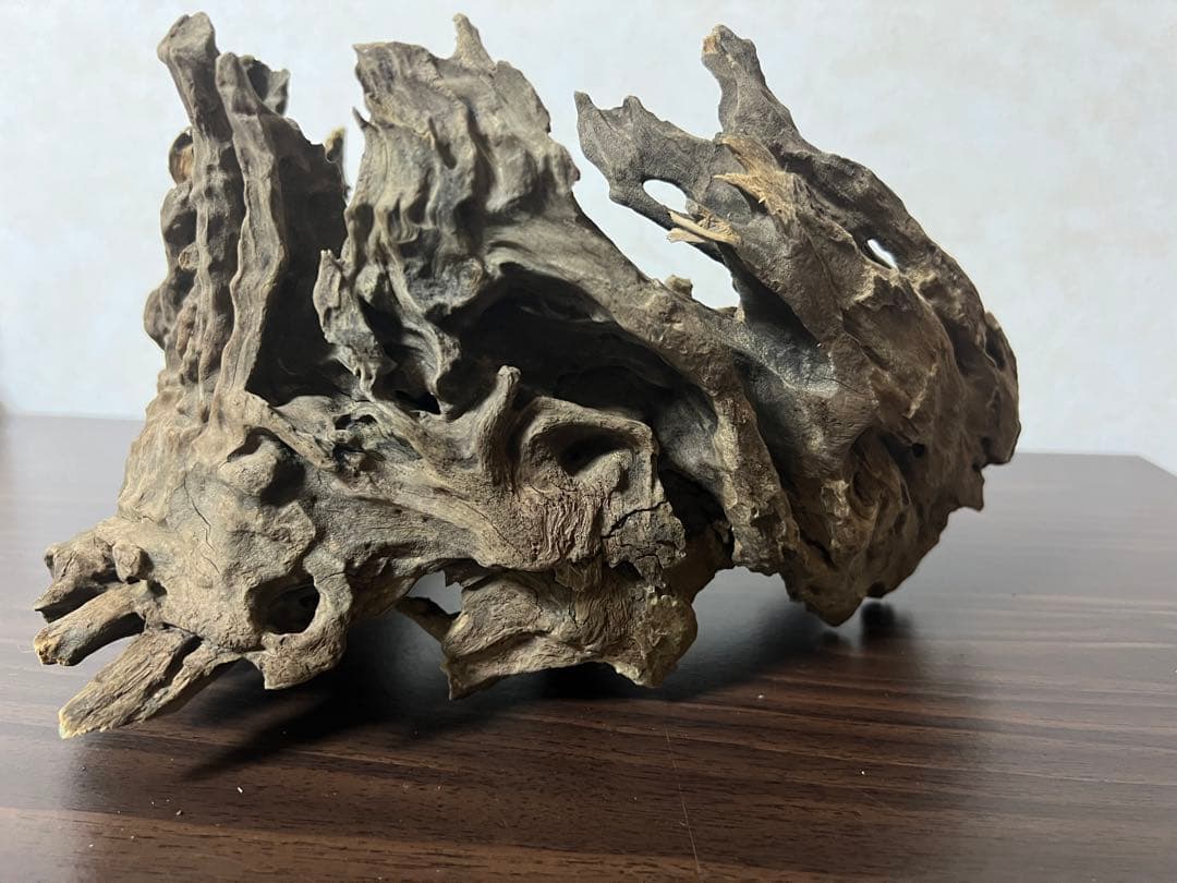 XM-321 流木マシンガンウッド　ブランチウッド　アクアリウム　沈水確認済