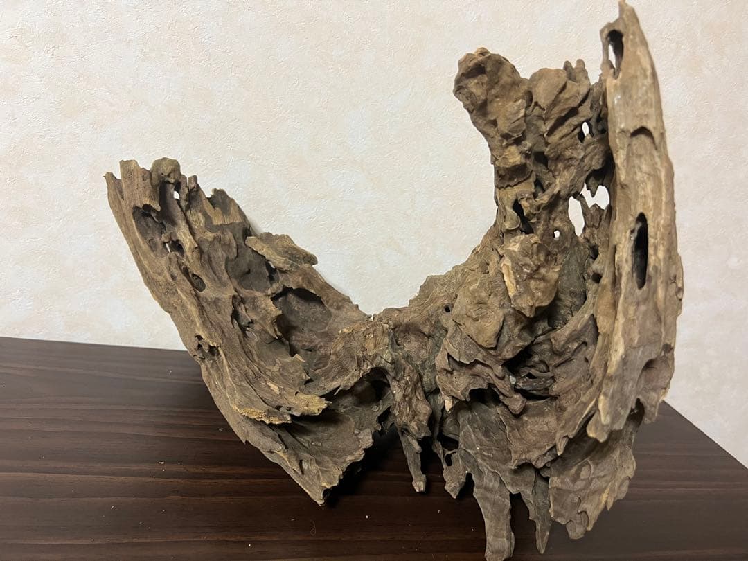 XM-321 流木マシンガンウッド　ブランチウッド　アクアリウム　沈水確認済