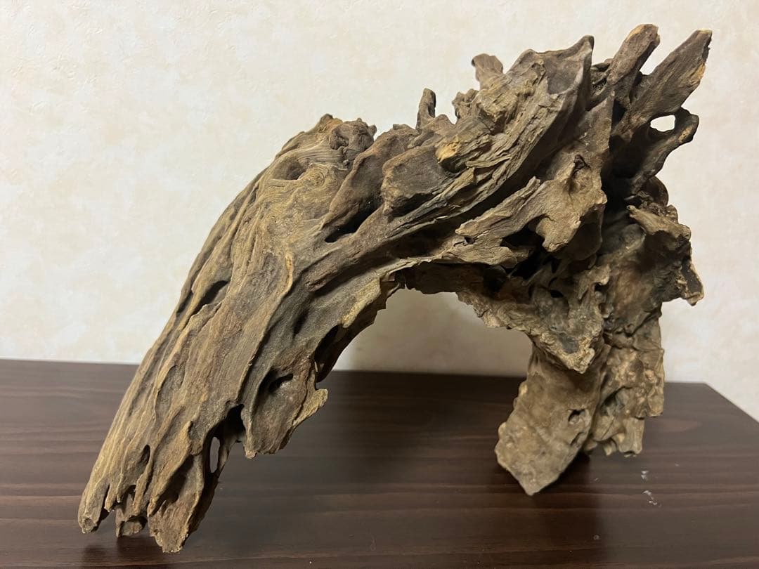 XM-321 流木マシンガンウッド　ブランチウッド　アクアリウム　沈水確認済