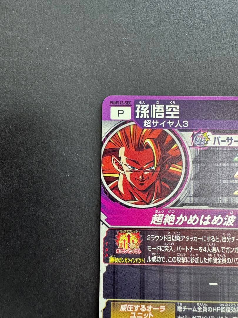 PUMS12-SEC 孫悟空