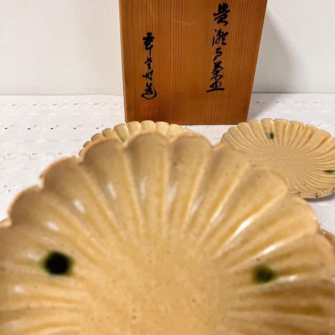 黄瀬戸菊皿 加藤幸兵衛造