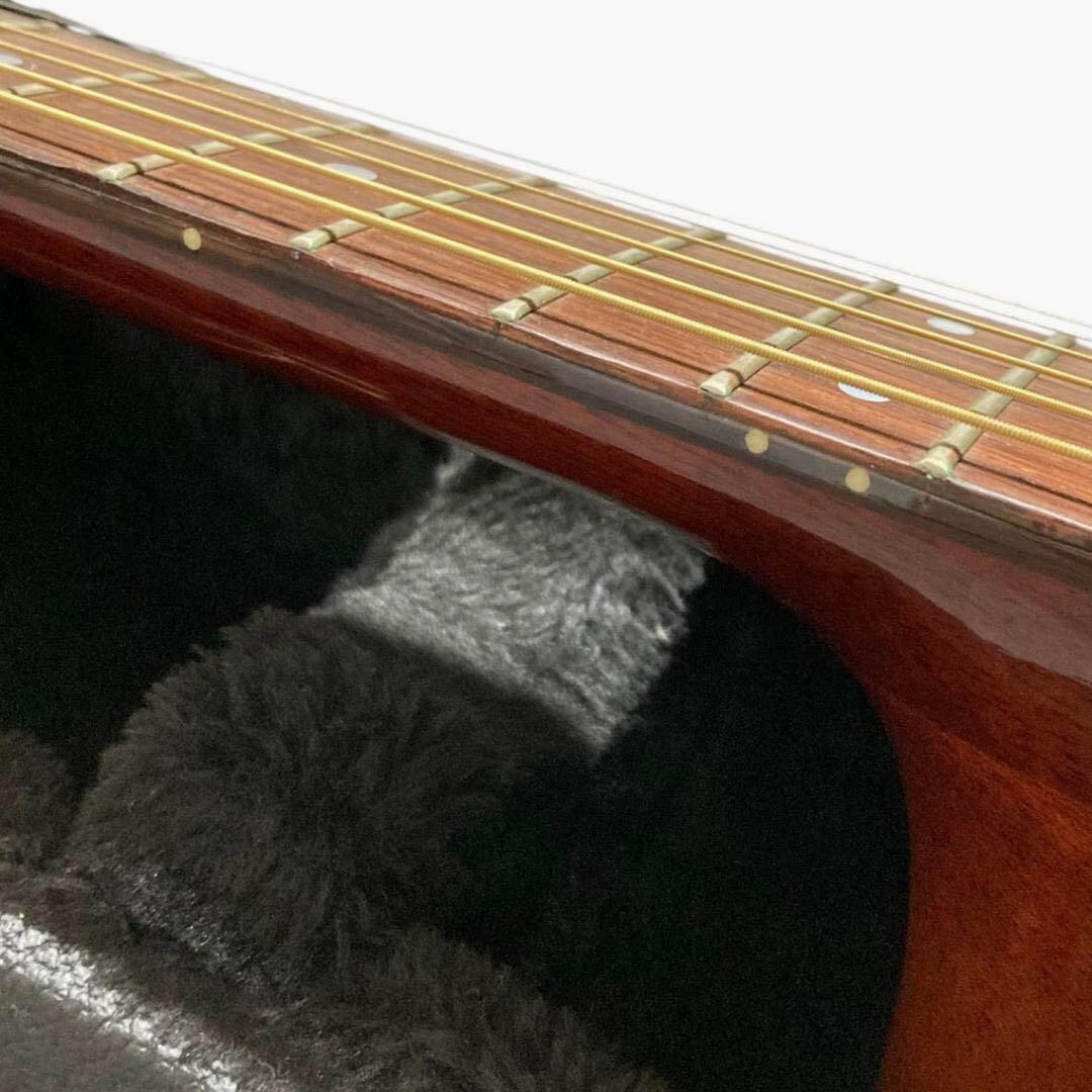 Maurice モーリス アコースティックギター MG601