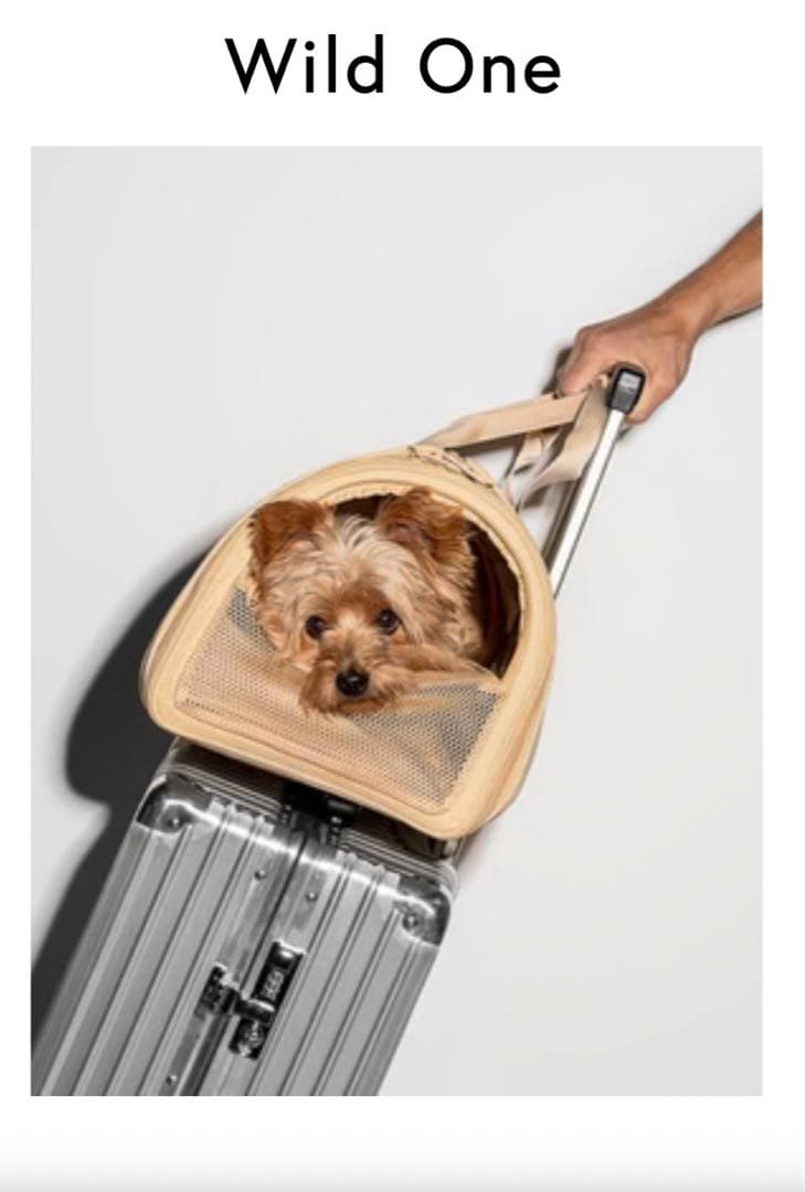 お値下げ！トラベル キャリーバッグ 犬