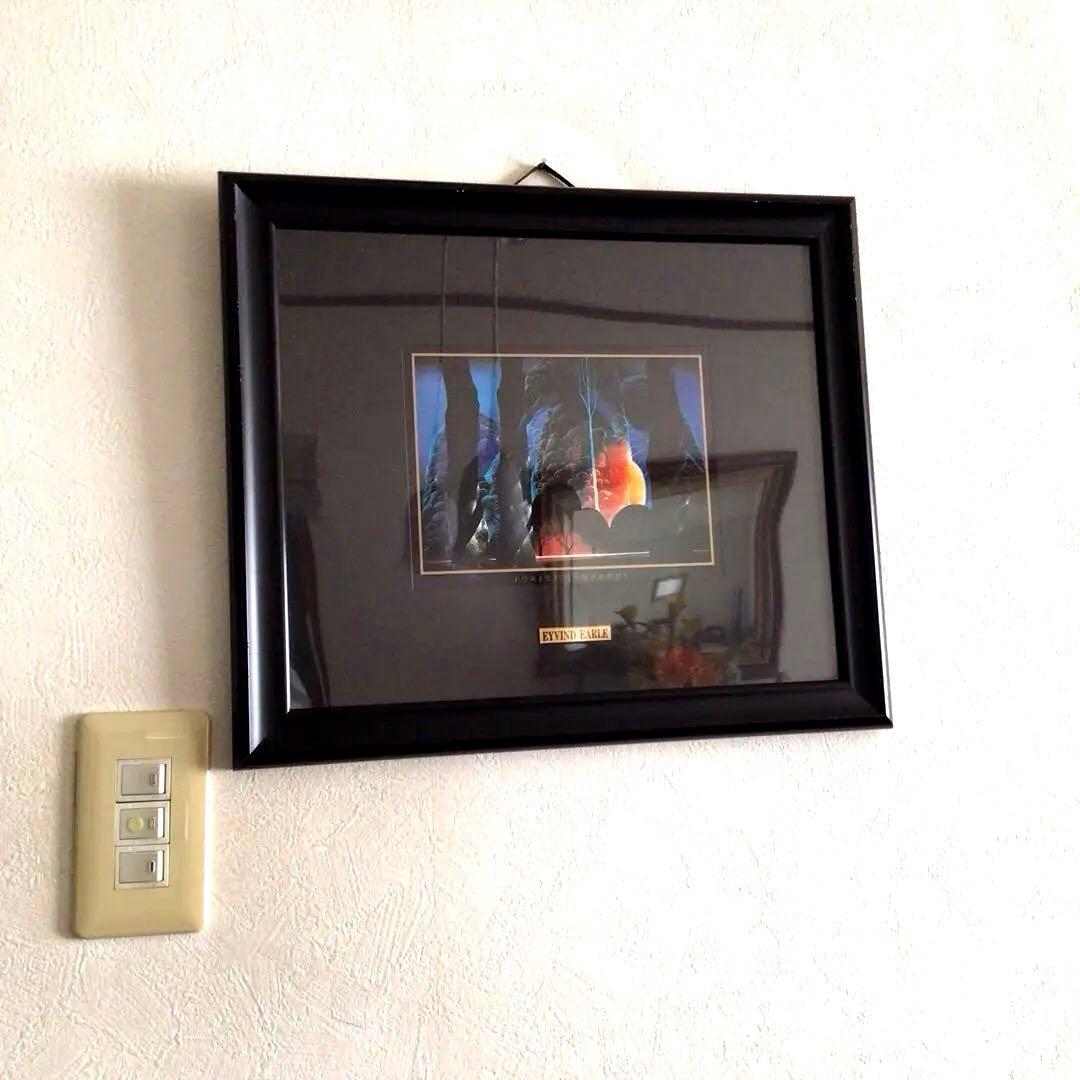 Eyvind Earle Forest Symphony 作品森のシンフォニー❣️