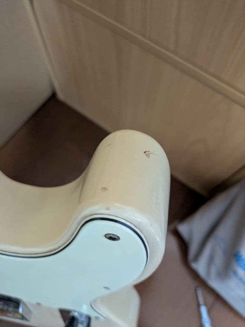 Sword Guitars テレキャスター VANZANDTピックアップ