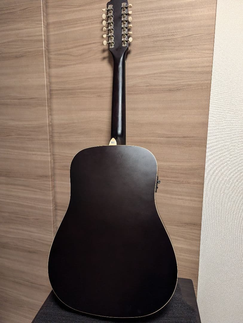 エレアコ Recording King RDS-9-12-FE5-TS 12弦