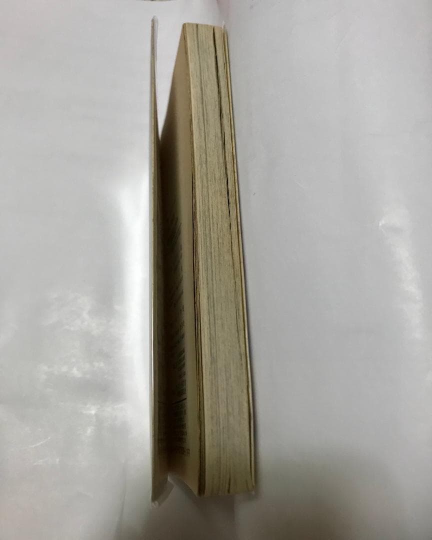 ★貴重★初版 ワンピース ONE PIECE 一巻 1巻 希少 レア