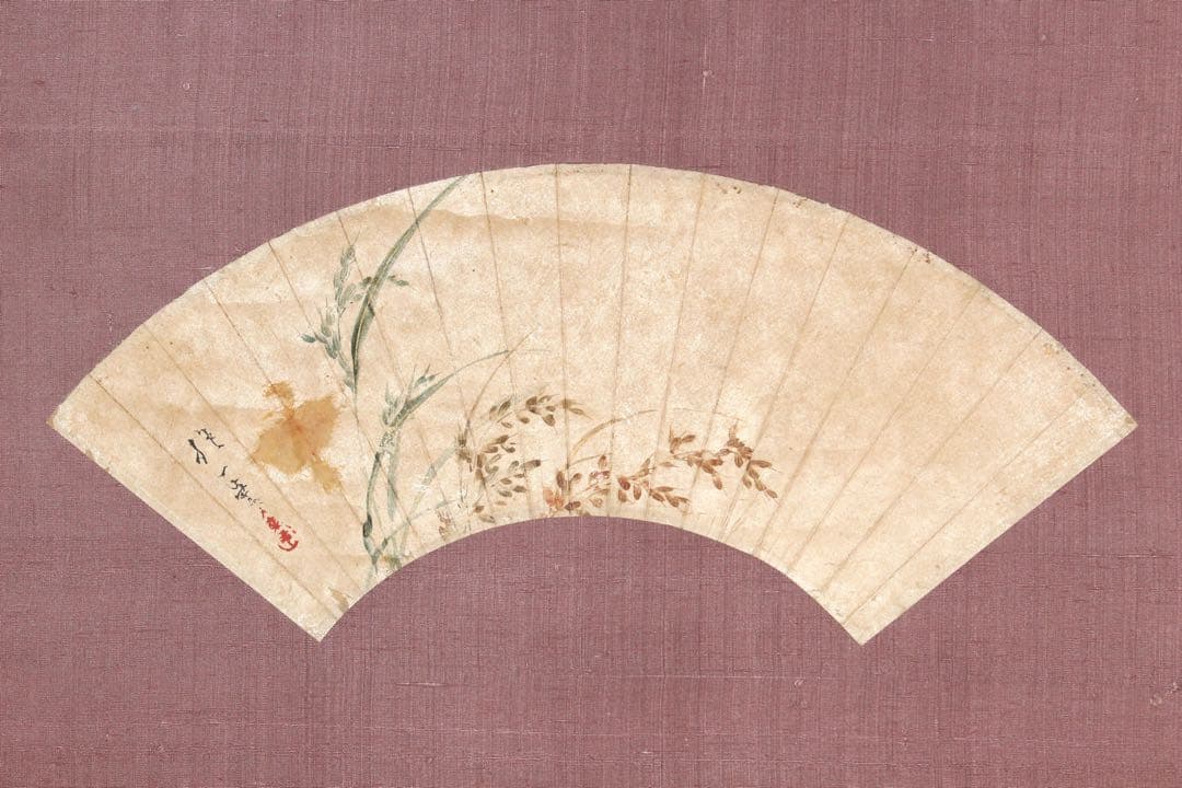 No5265 掛軸　酒井抱一　稲穂図　扇面　紙本着色　陶器軸先　合箱　送料無料