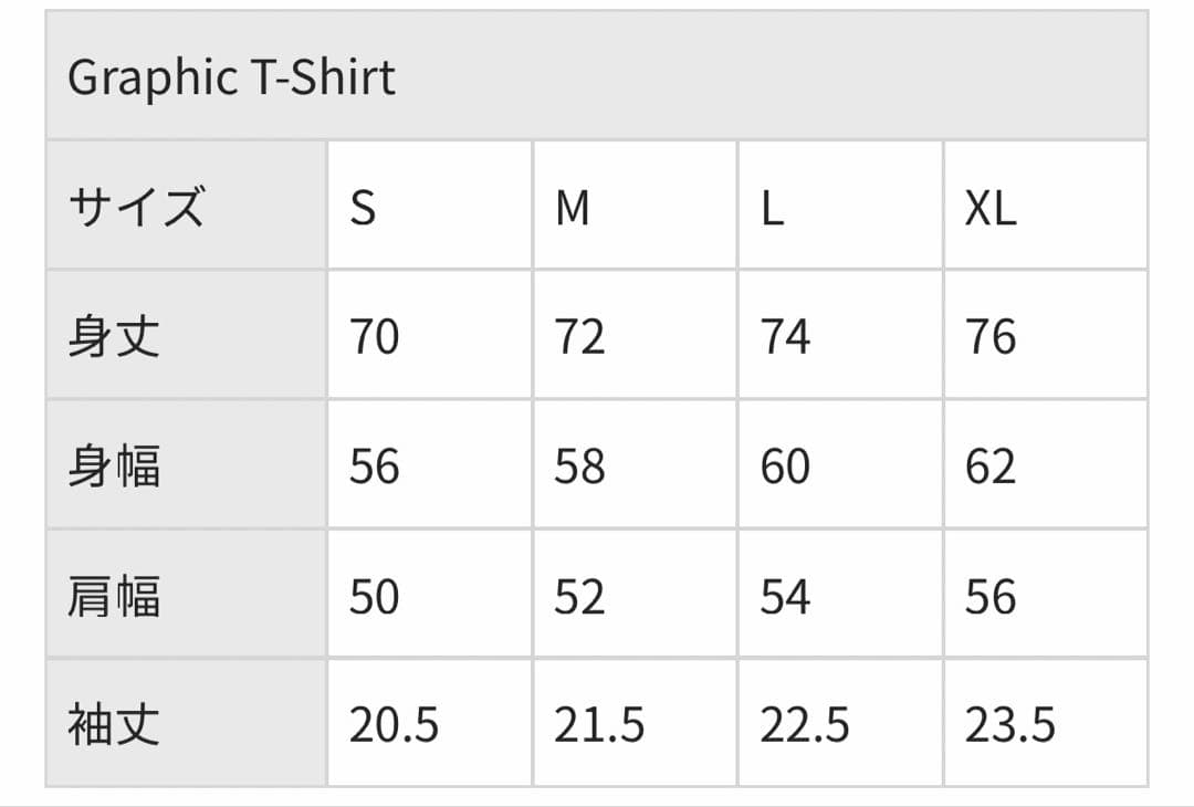 【未使用未開封】THE NORTH FACE & PALACE Tシャツ