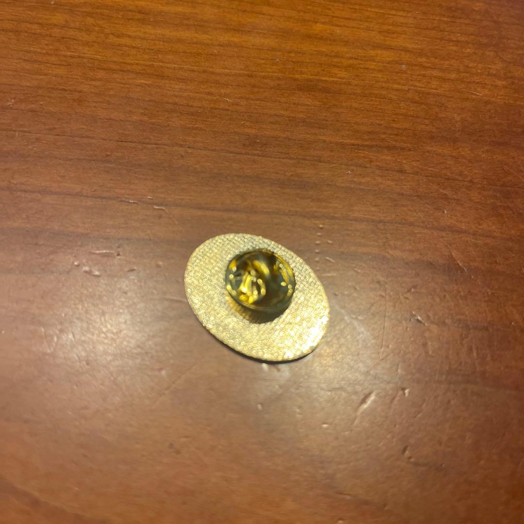 IVLP 米国国務省ピンバッジ