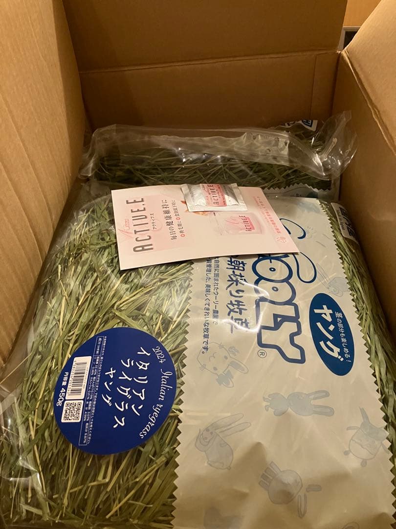 ウーリー　高原の朝採り牧草　イタリアンライグラス2024　ヤング×4