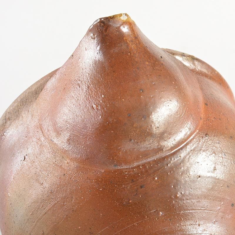 煎茶道具　備前焼　明光窯　果実摘　宝瓶　急須　共箱　D　R6193