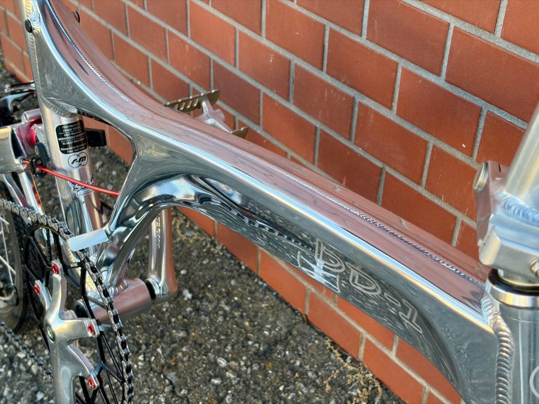 R&M Birdy BD-1 Speed ハイポリッシュ カスタム