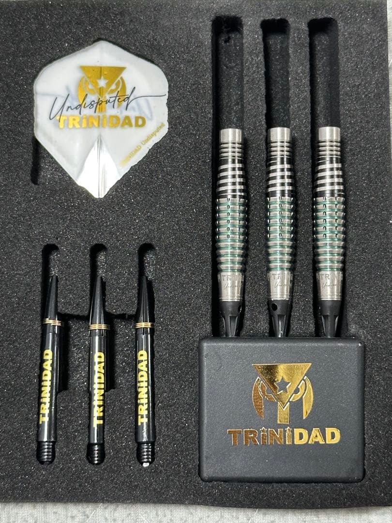 ダーツ バレル リカルド ロペス 21g 浅田斉吾選手