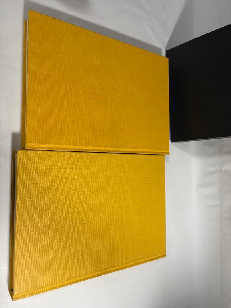 炎の譜　坂田栄男　上下巻