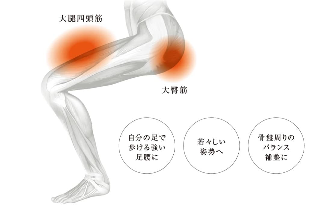 MIZUNO／スクワットスーリールα（アルファ）
