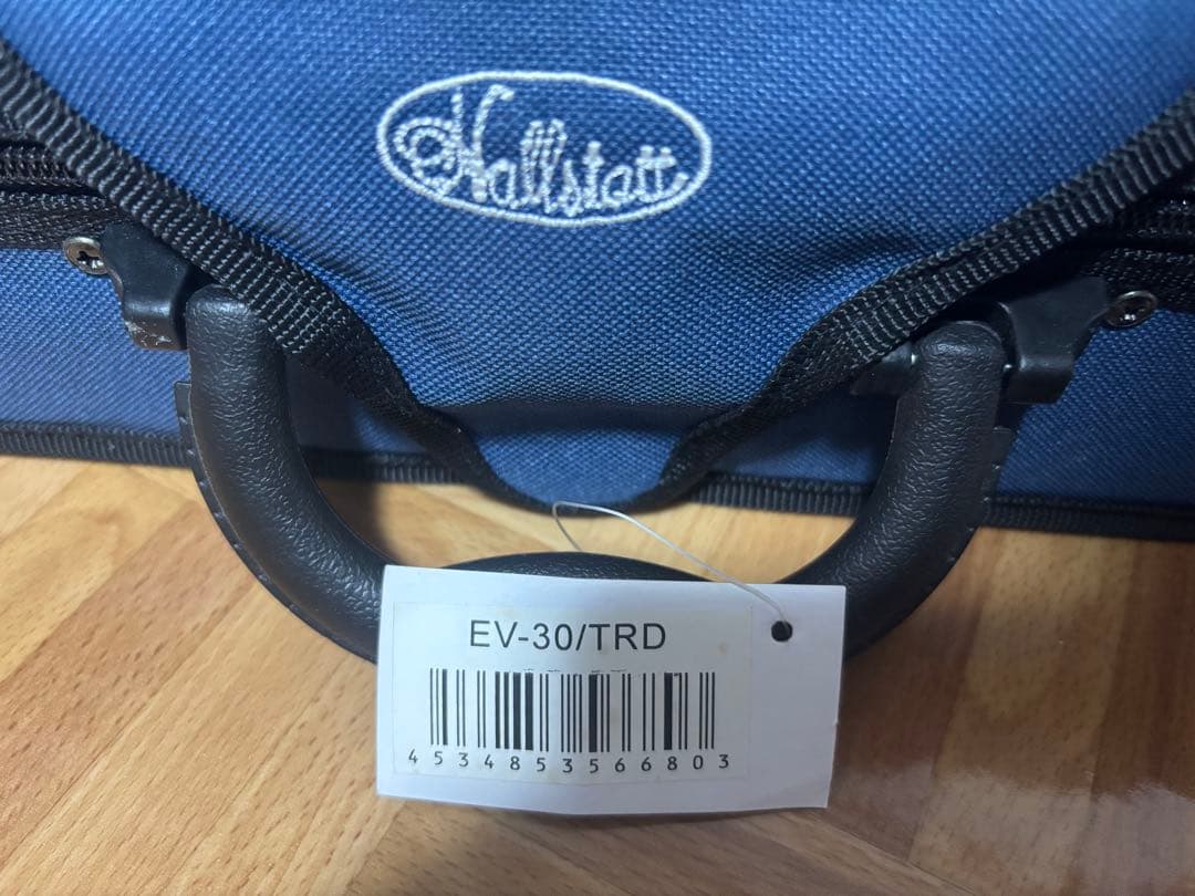 【保証書付き純正】 hallstatt EV-30 エレキバイオリン　初心者