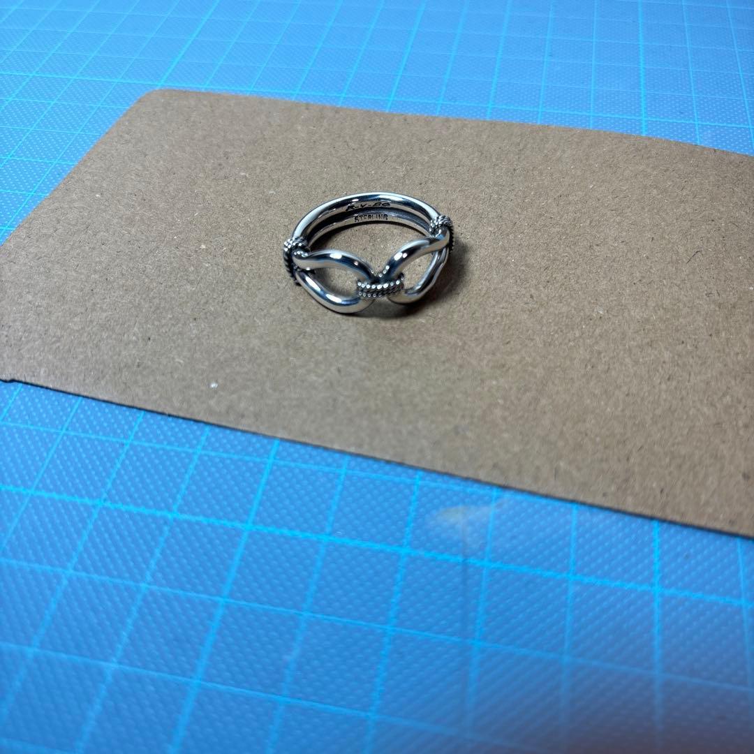 スティーブアルビソ　ホースウィスパラーリング　20号