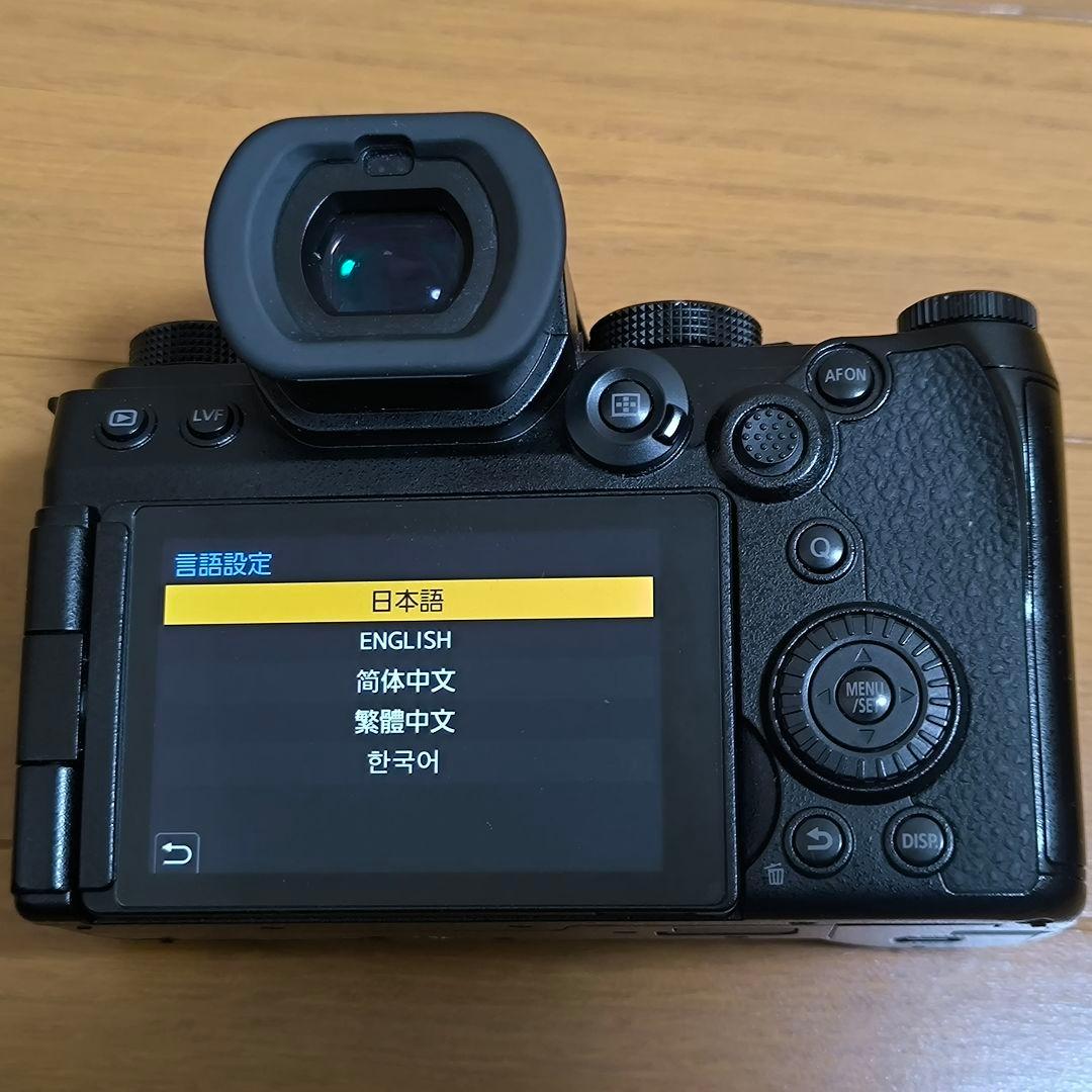 パナソニック LUMIX DC-S5M2X ボディビデオセット s5iix