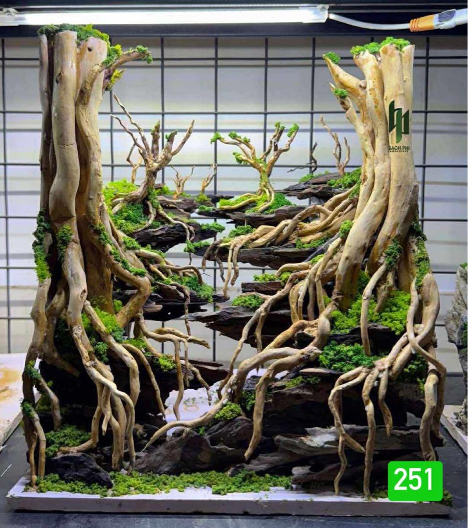 水槽用流木 アクアリウムレイアウト。水槽用流木 。水槽用レイアウト 盆栽流木