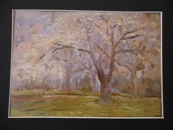 坂本　繁二郎、桜、希少な画集より、新品額装付