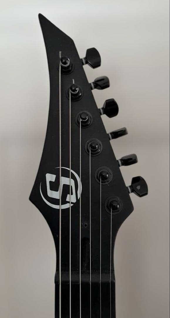 Solar エレキギター スキャロップ加工(素人加工)