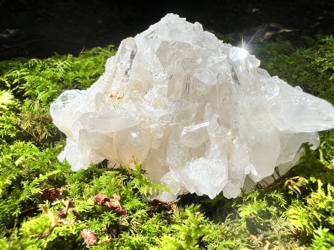 龍脈の精髄 クラスター 魂を浄化しご縁を結ぶ 売上一部保護猫活動に使用