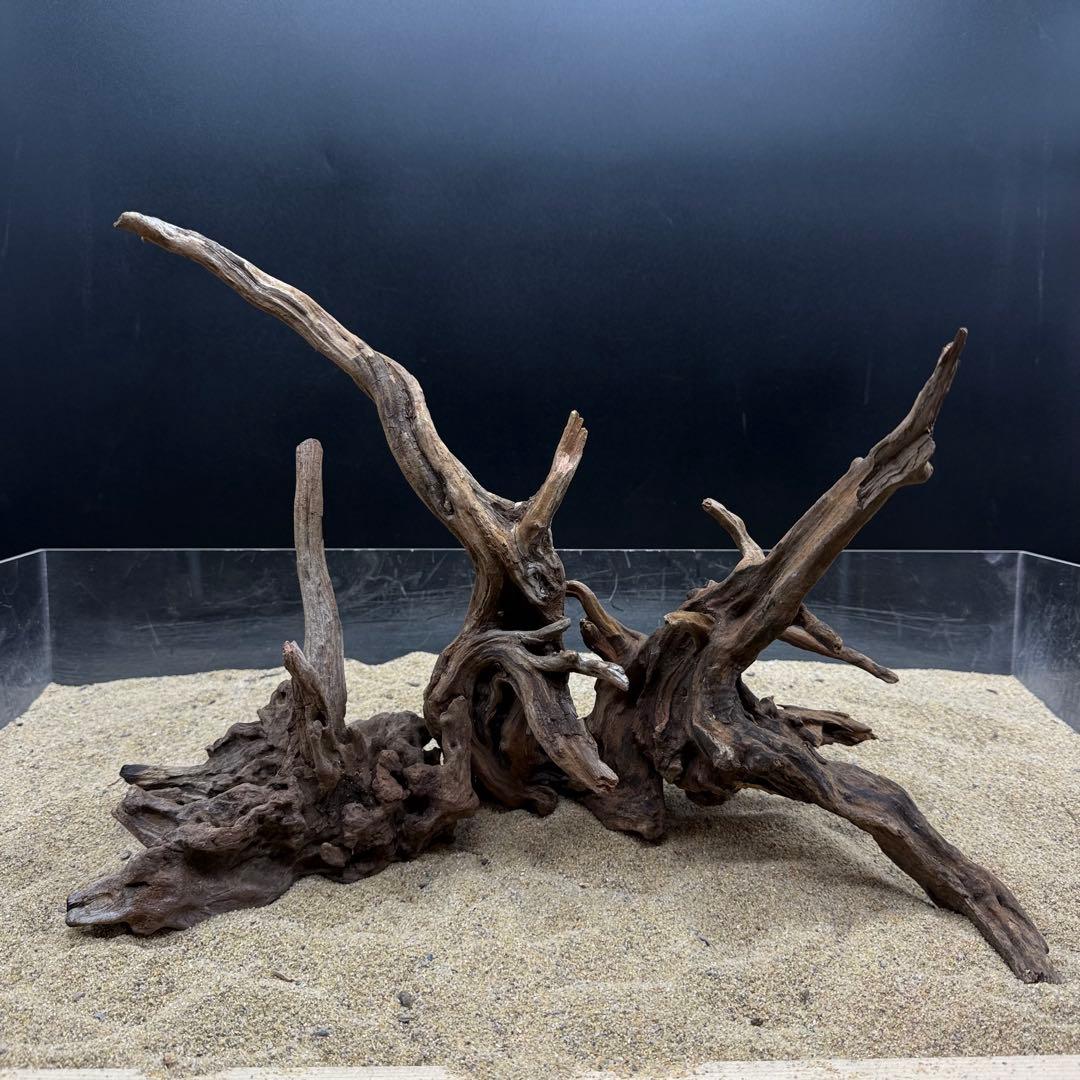 MSRW-7173 天然流木12本セット　スリムウッド　アクアリウム