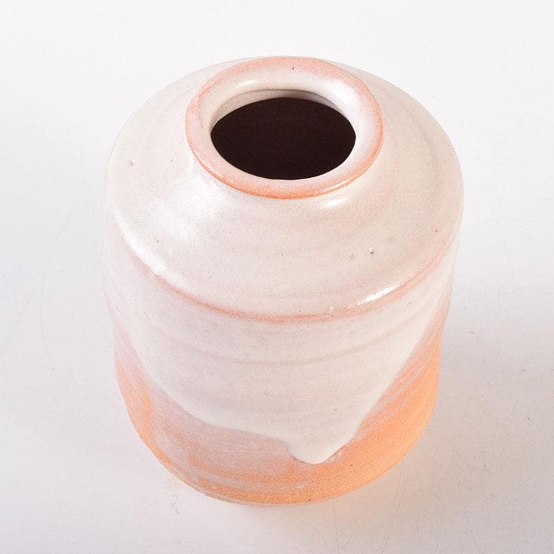 茶道具　萩焼　江月窯　肩衝茶入　在銘　共箱　V　6896