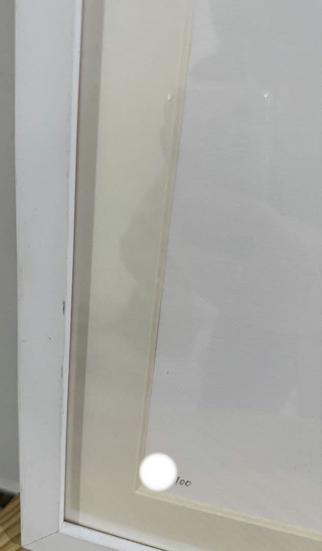 限定 直筆サイン 大友昇平 平成聖母 シルクスクリーン