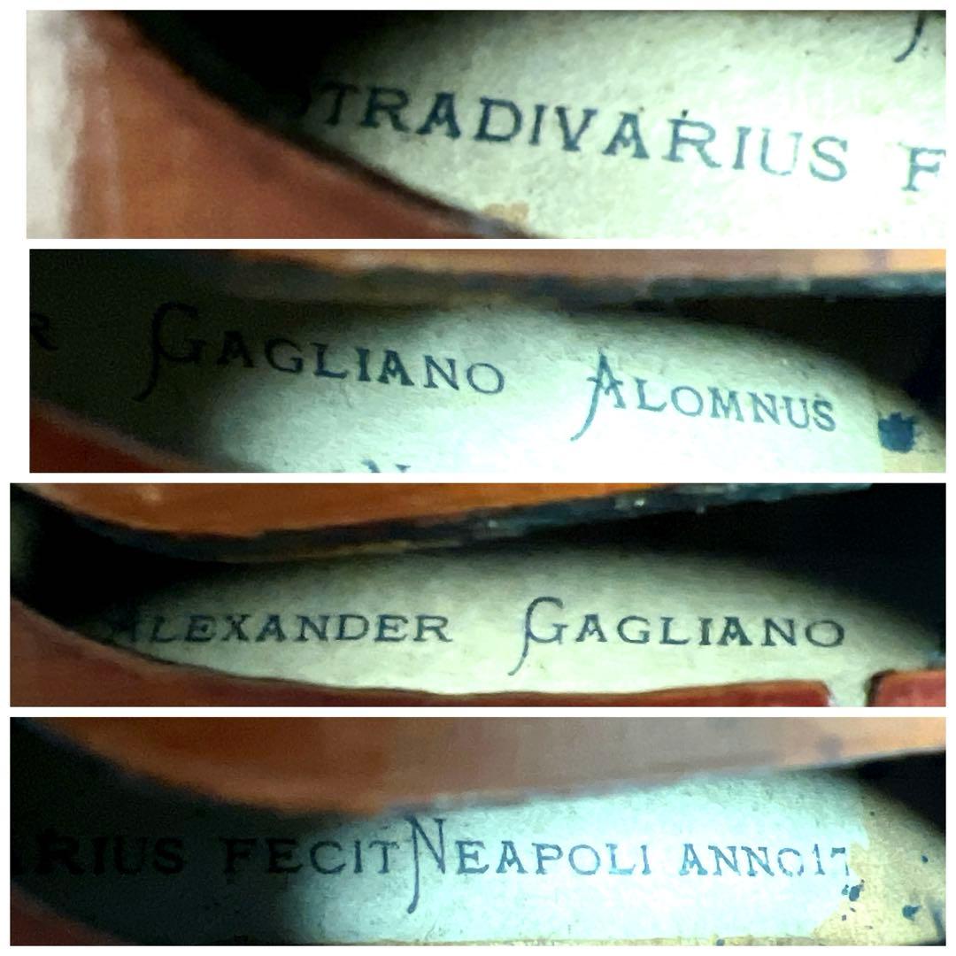 ALEXANDER GAGLIANO ALOMNUS バイオリン 　フルサイズ