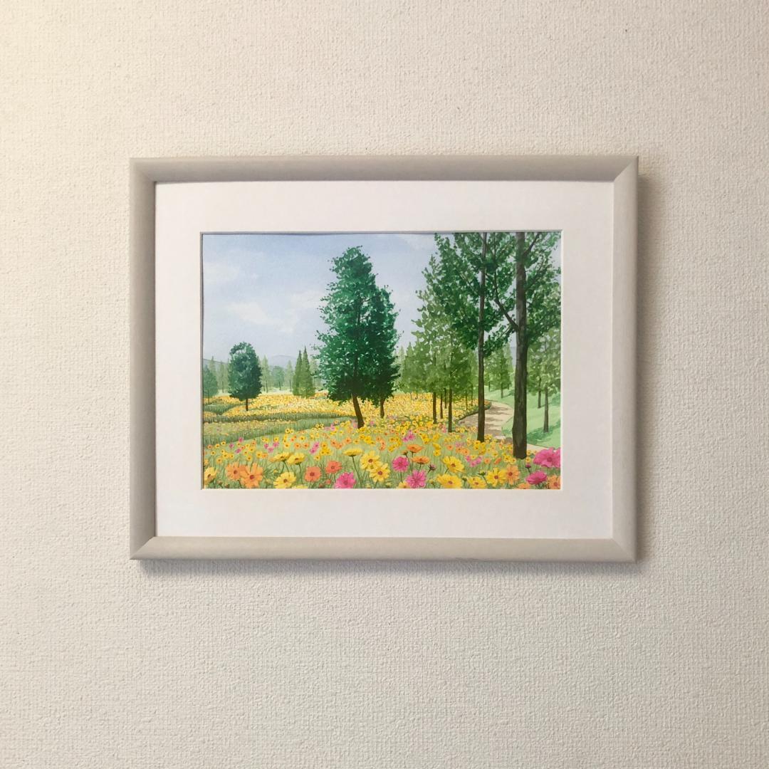 透明水彩画　原画　「キバナコスモスのフィールド02」額縁付　F4サイズ