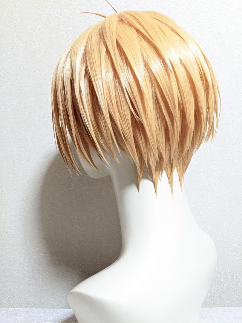 ✠朝倉 シン ウィッグ✠セット済 SAKAMOTODAYS