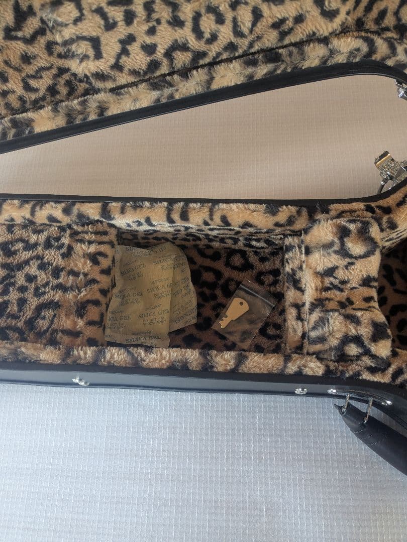 Epiphone ギターケースGREENDAYモデル　レスポールジュニア用