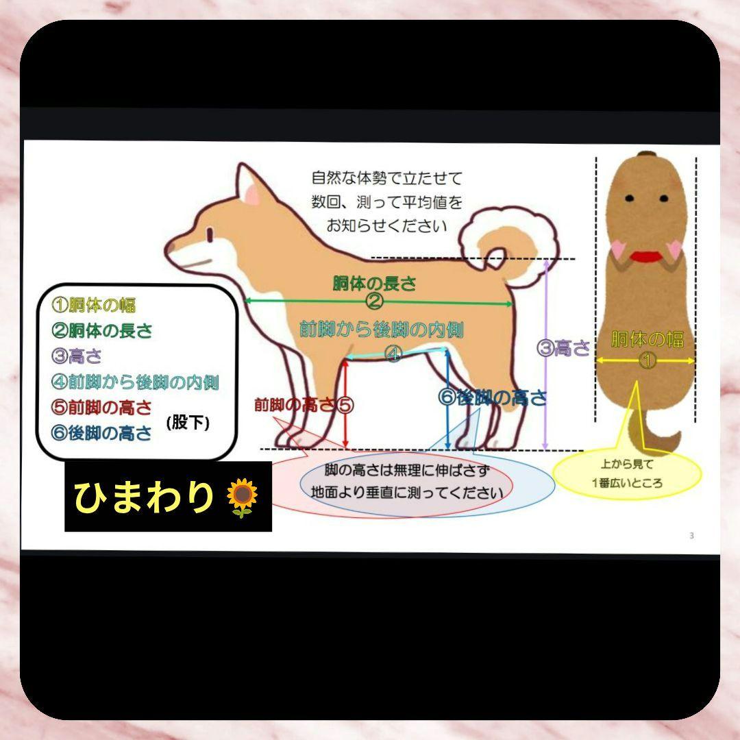 ワンちゃん4輪　リハビリ　食事補助　犬用車椅子　シニア犬補助　犬の歩行器