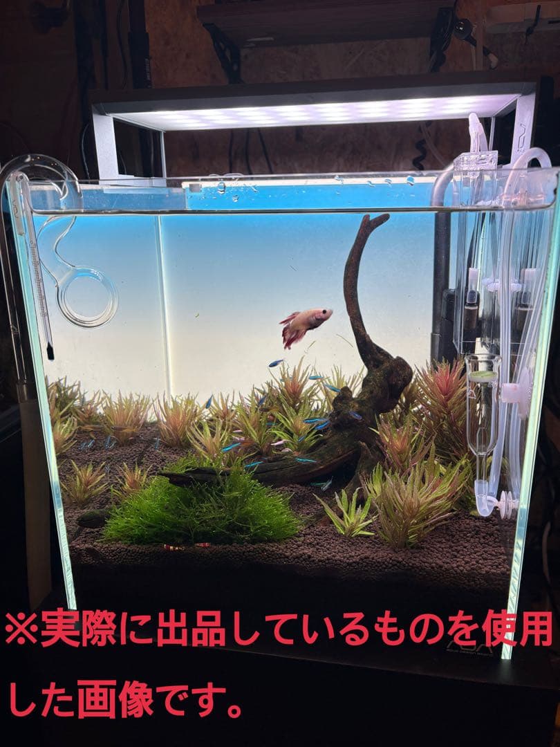 ADA CO2システム、30cmLEDライトなど6点【引退セット】