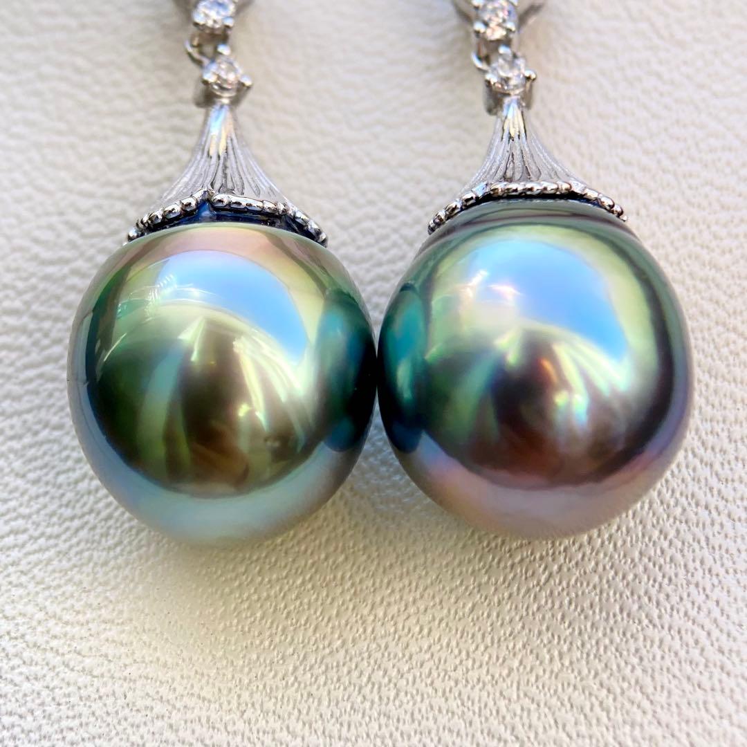 本真珠南洋黒蝶真珠グリーン虹色13.5×11.5㍉ピアスBL913