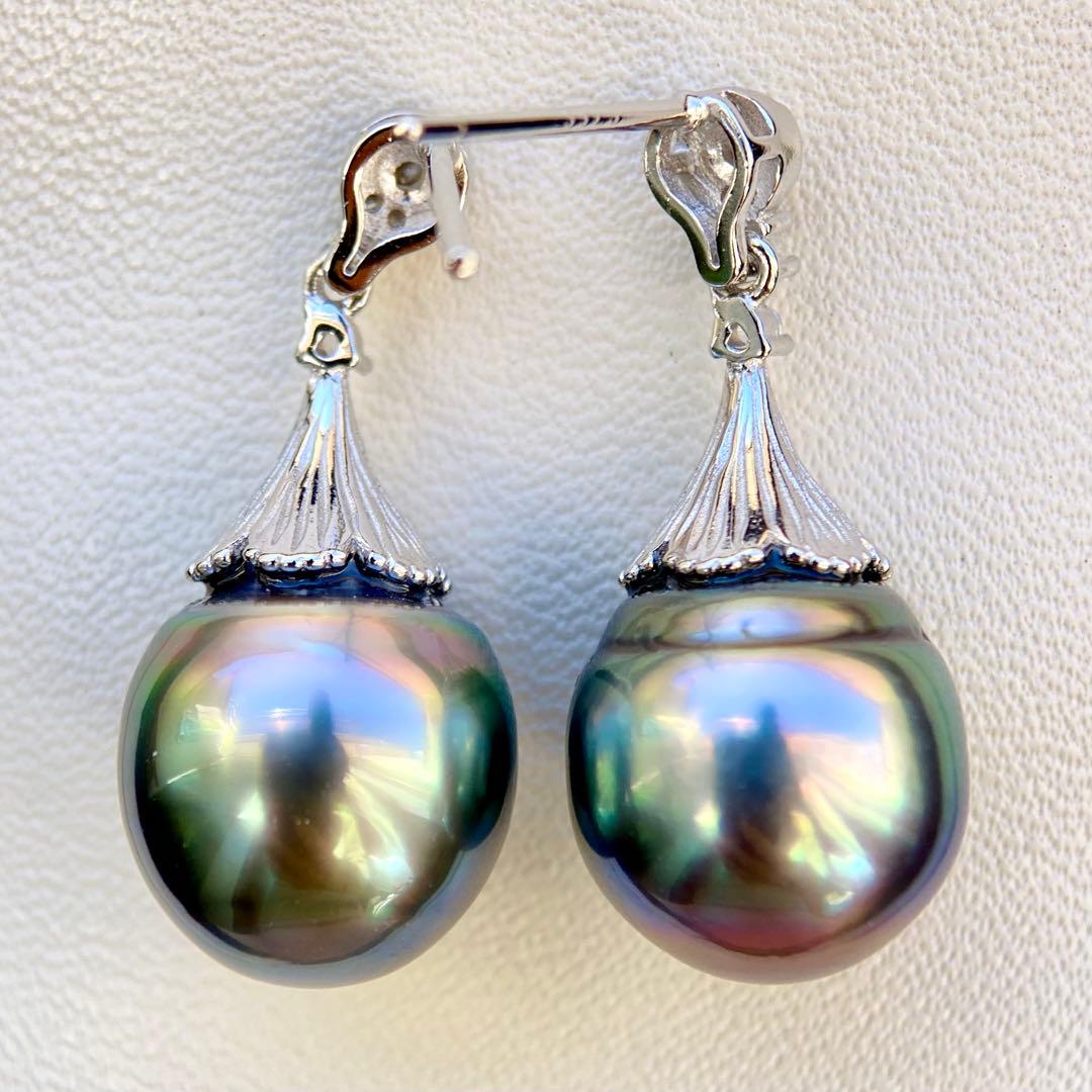 本真珠南洋黒蝶真珠グリーン虹色13.5×11.5㍉ピアスBL913