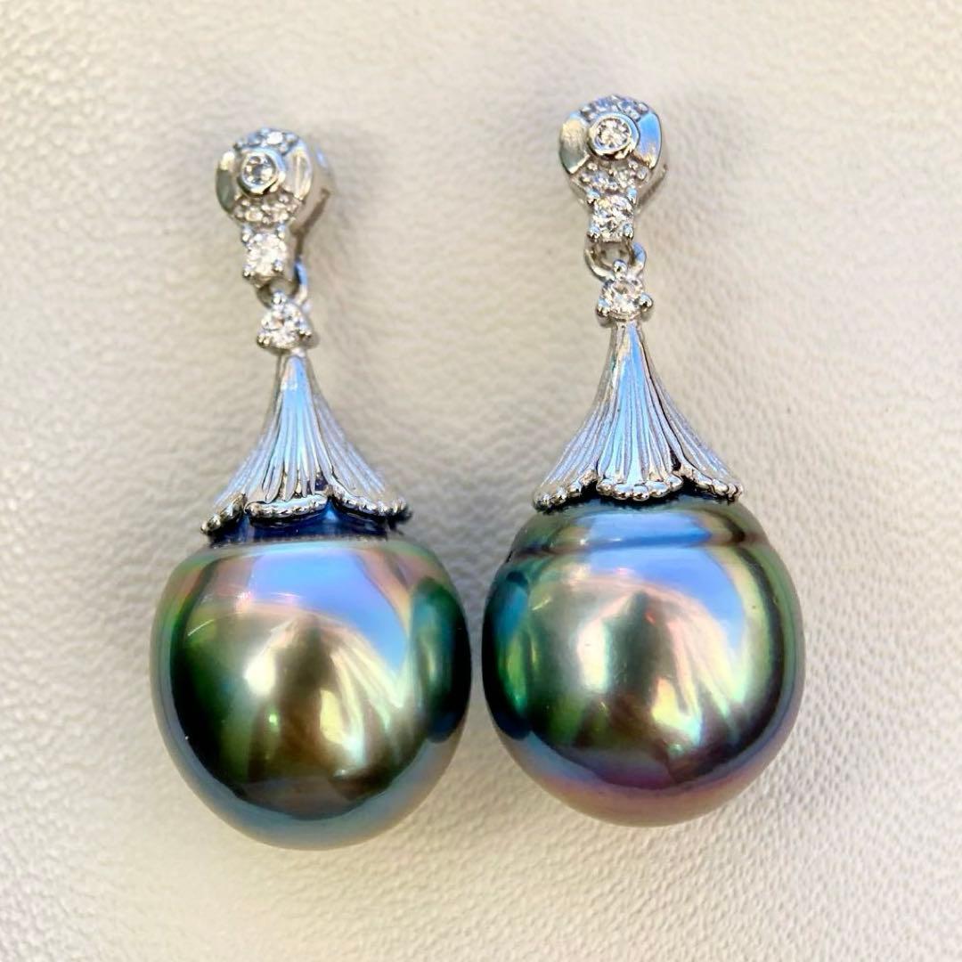 本真珠南洋黒蝶真珠グリーン虹色13.5×11.5㍉ピアスBL913