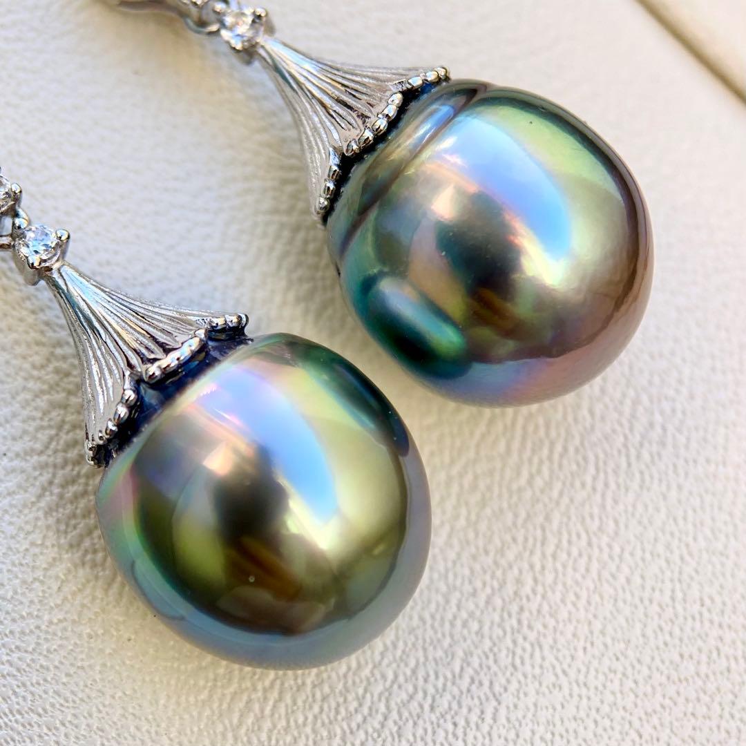 本真珠南洋黒蝶真珠グリーン虹色13.5×11.5㍉ピアスBL913