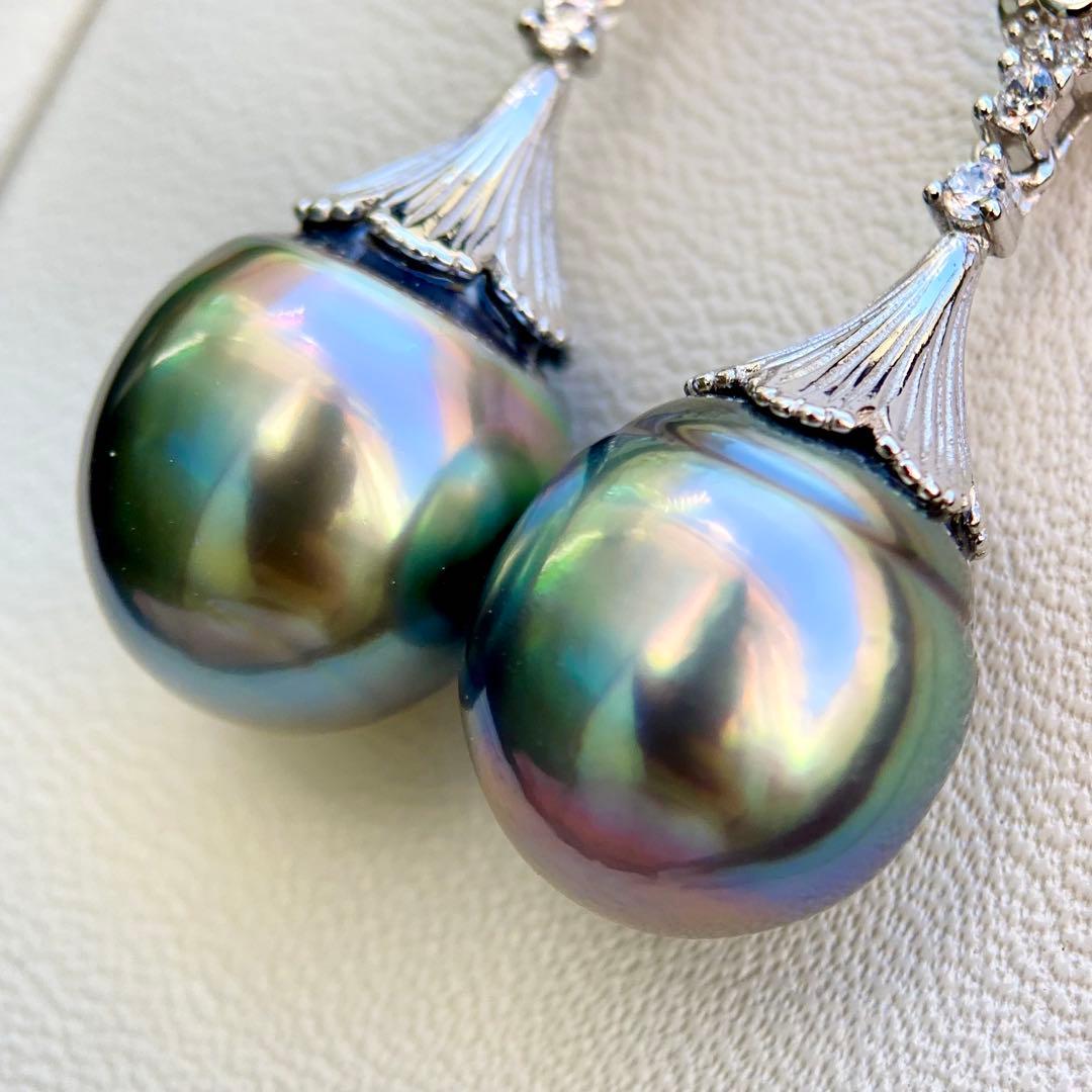 本真珠南洋黒蝶真珠グリーン虹色13.5×11.5㍉ピアスBL913